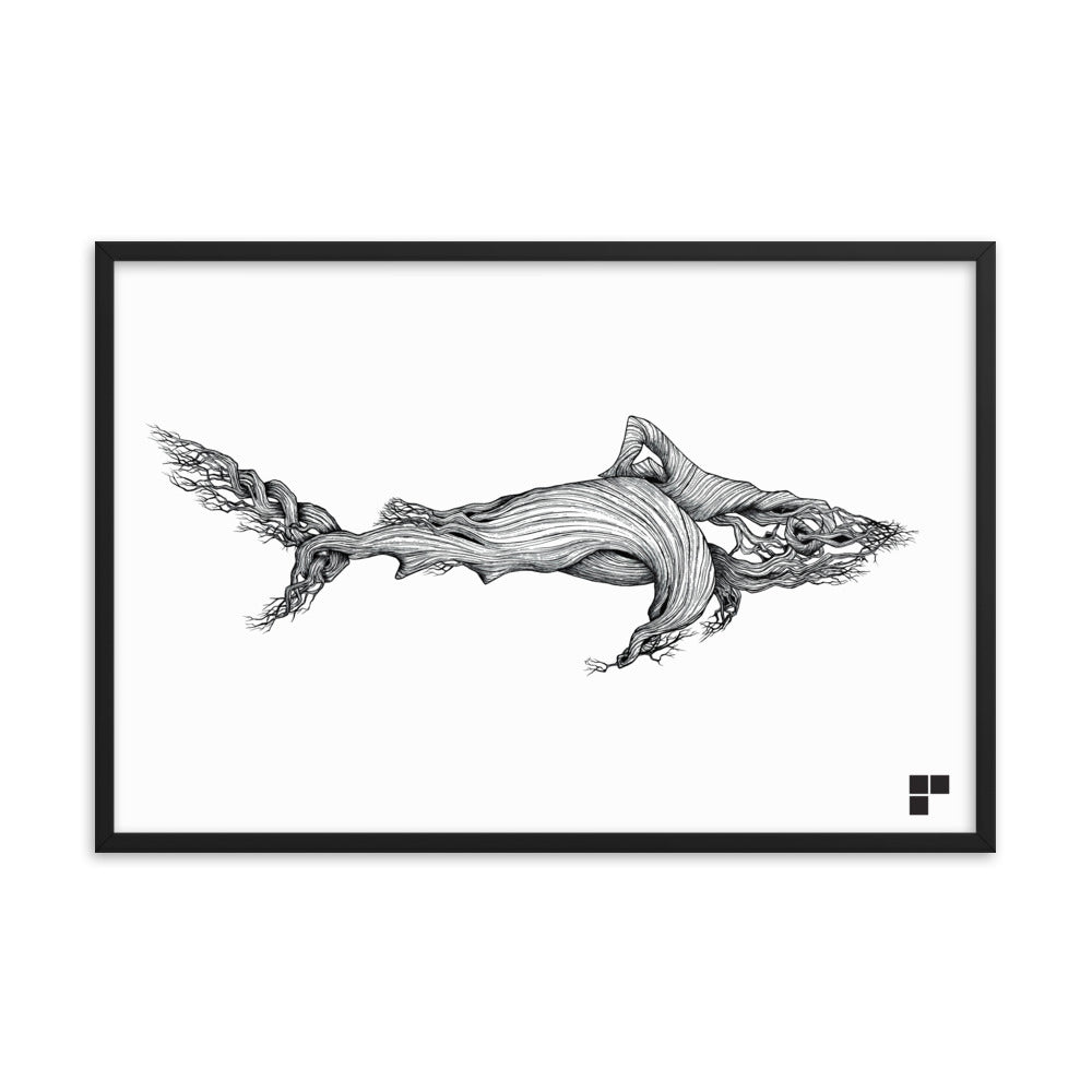 Framed Shark