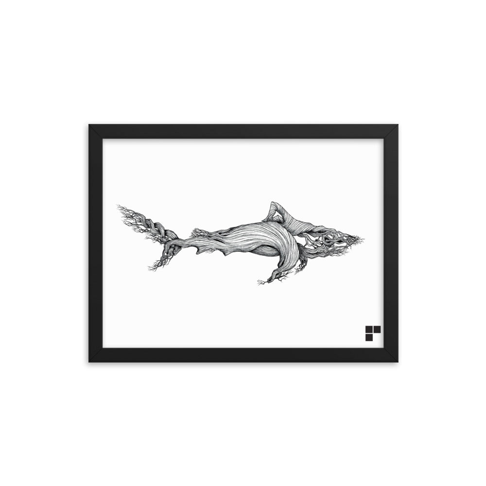 Framed Shark