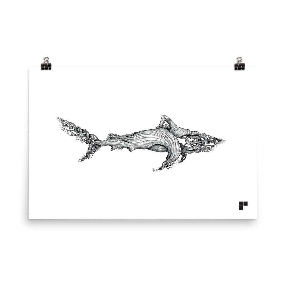 Shark Print