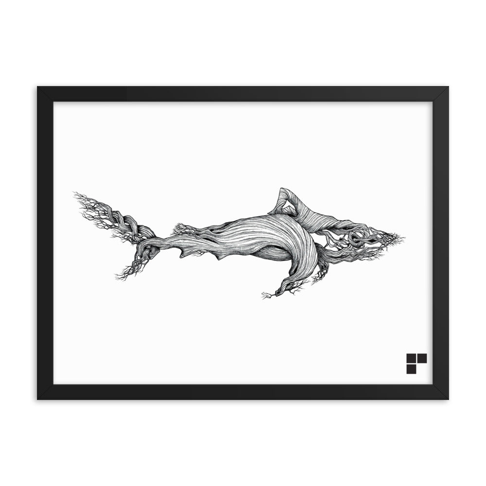 Framed Shark