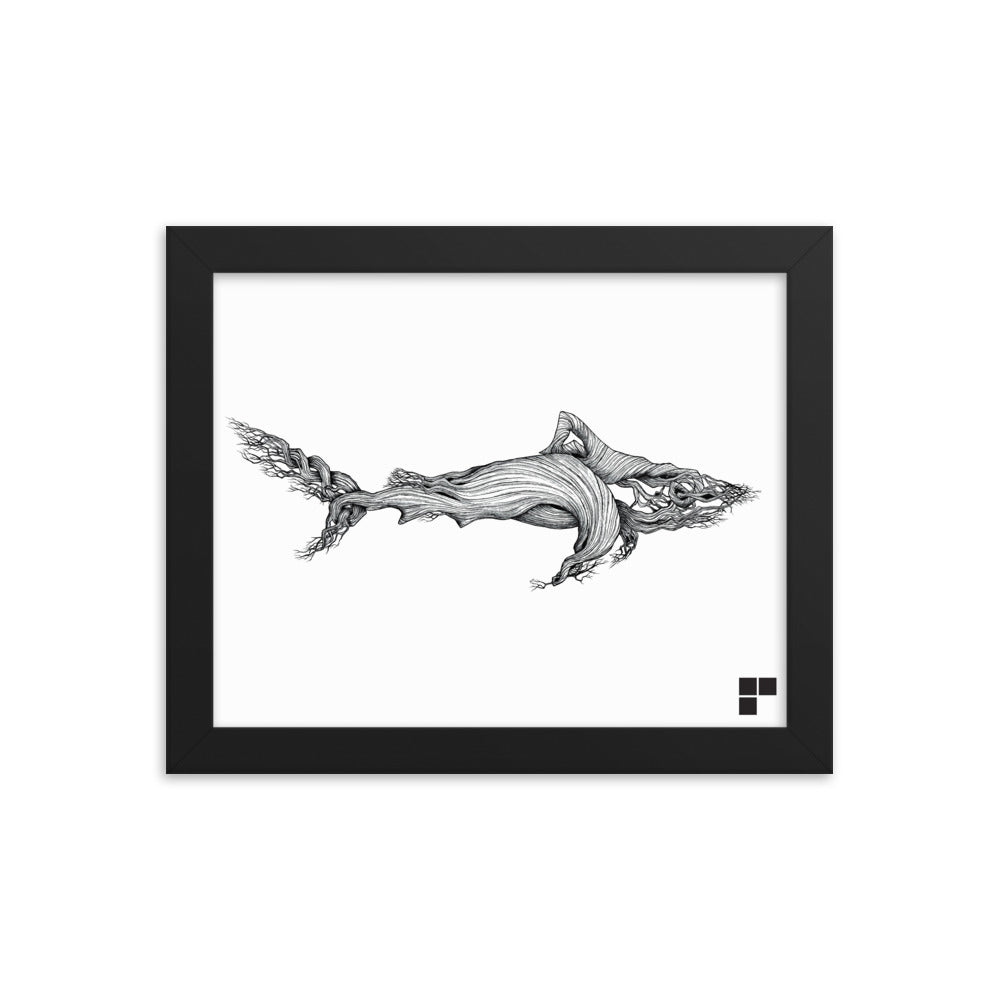 Framed Shark