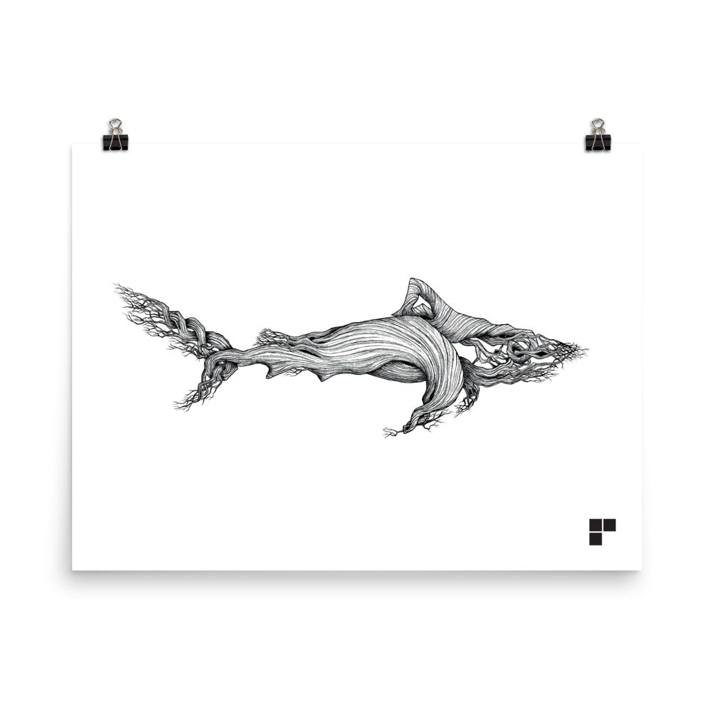 Shark Print