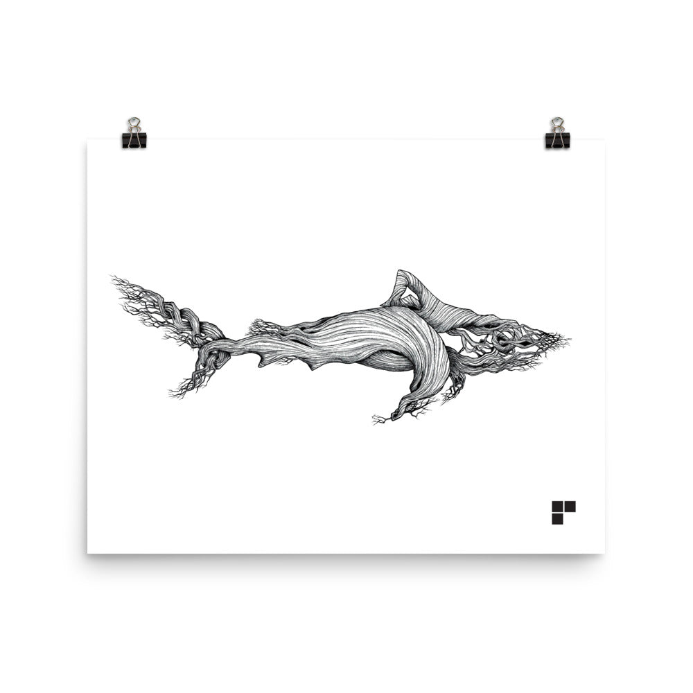 Shark Print